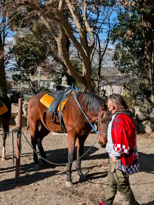 賀茂神社の{uncategorized: "未分類", other: "その他", undefined: "問題あり", building: "その他建物", grave: "お墓", sacred_gate: "鳥居", guardian: "狛犬", statue: "像", buddha: "仏像", history: "歴史", nature: "自然", garden: "庭園", animal: "動物", pagoda: "塔", temizu: "手水舎", mountain_gate: "山門・神門", sanctuary: "本殿・本堂", subordinate: "末社・摂社", art: "芸術", scenery: "景色", jizo: "地蔵", ema: "絵馬", goshuin: "御朱印", omikuji: "おみくじ", items: "授与品その他", amulet: "お守り", goshuincho: "御朱印帳", eats: "食事", festival: "お祭り", votive_dance: "神楽", shichigosan: "七五三参", wedding: "結婚式", experience: "体験その他", initially: "初詣", around: "周辺", anti_infection: "感染症対策"}
