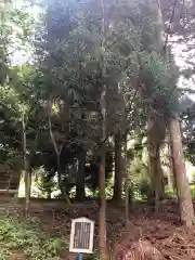 国造神社(熊本県)