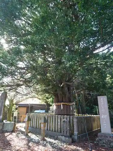 熊野速玉大社の建物その他