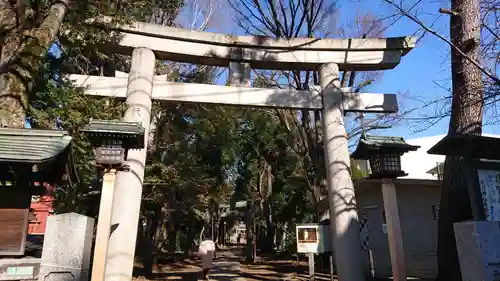 八雲氷川神社の鳥居