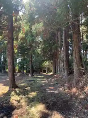 白幡神社(千葉県)