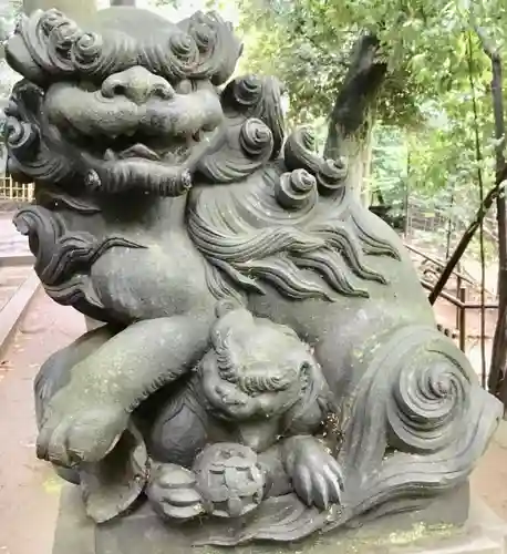 渋谷氷川神社の狛犬