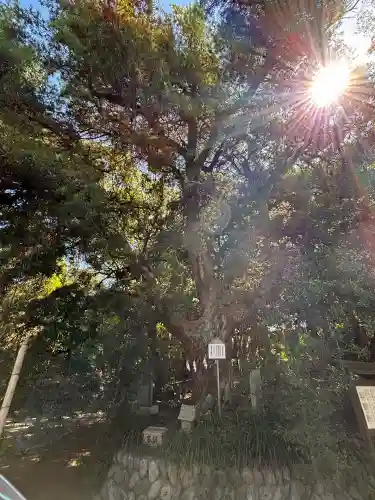 白羽神社(静岡県)