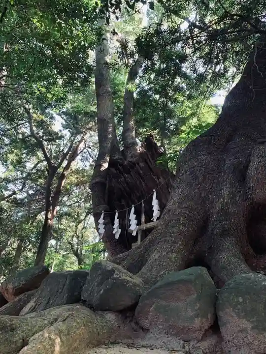 住吉神社(山口県)
