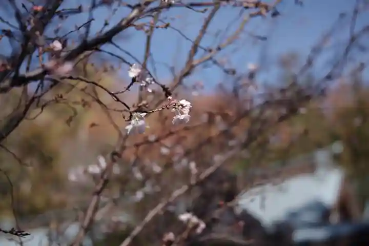 山梨縣護國神社(山梨県)
