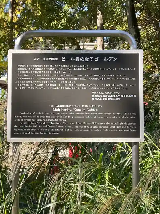 豊玉氷川神社の歴史