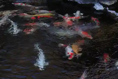 久遠寺(山梨県)