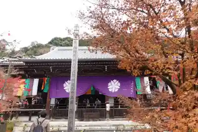 禅林寺(永観堂)(京都府)