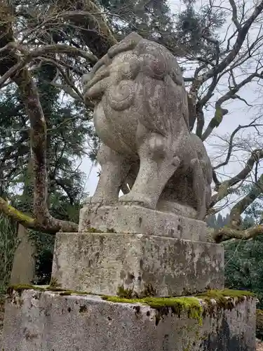 五権寺五社神社の狛犬