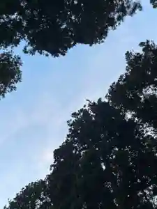 大宮温泉神社(栃木県)(2023年12月27日(水) 08時21分39秒投稿)