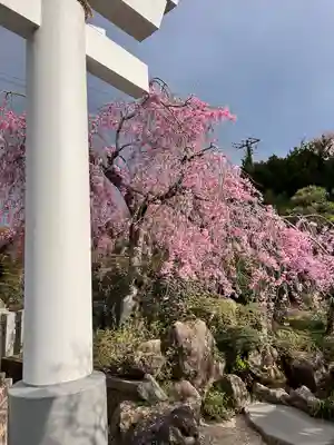 金蛇水神社(宮城県)