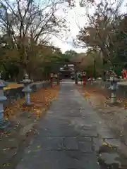 深江神社(福岡県)
