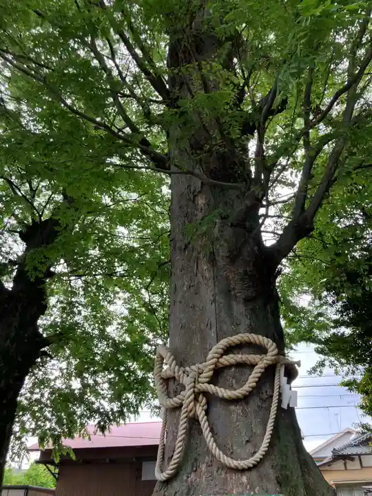 八坂神社(神奈川県)