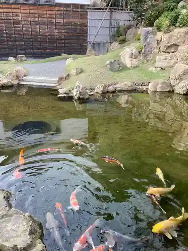 龍雲寺の庭園