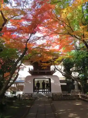 大正寺の庭園