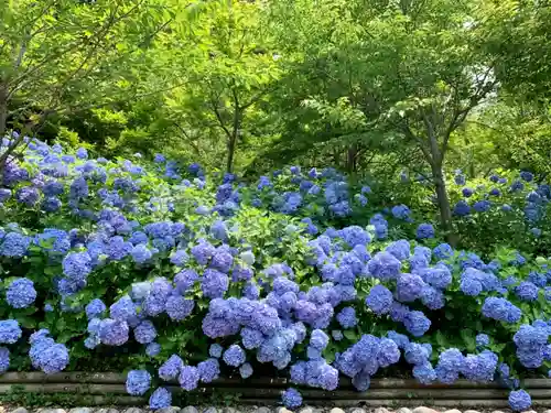 尊永寺の自然