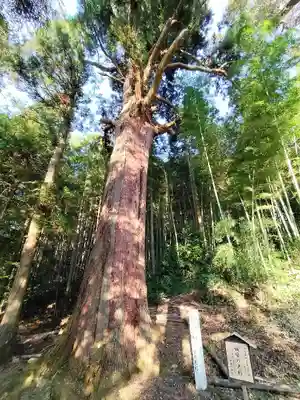 質美八幡宮(京都府)