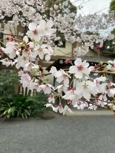 阿佐ヶ谷神明宮の自然