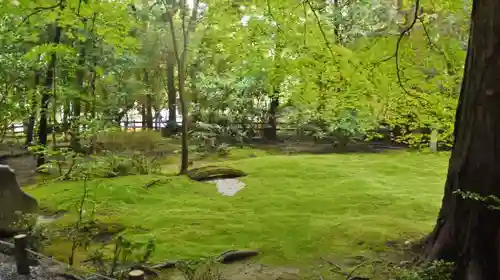 野宮神社の自然