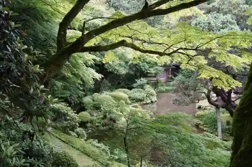 千如寺大悲王院の庭園