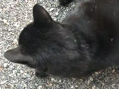 高司神社〜むすびの神の鎮まる社〜(福島県)