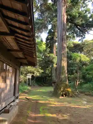 大棟梁大神(千葉県)
