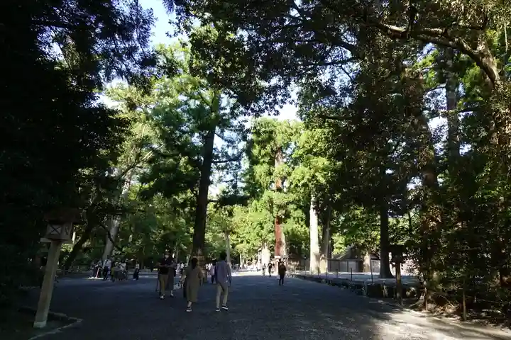 伊勢神宮外宮(豊受大神宮)の自然