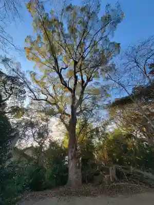 稲荷神社(愛媛県)