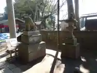 酒列磯前神社の狛犬