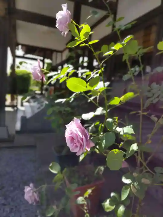 東光寺の本殿・本堂