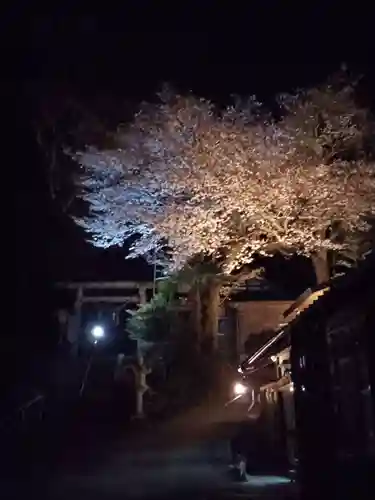 藏皇神社の庭園