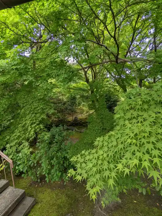 法金剛院(京都府)