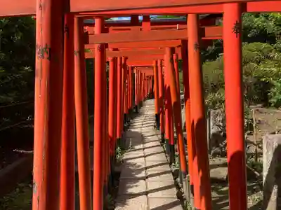 根津神社の鳥居