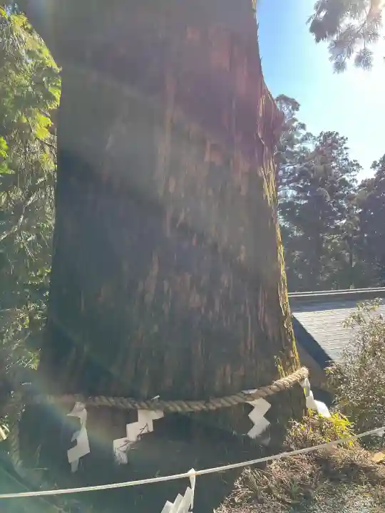玉置神社の{uncategorized: "未分類", other: "その他", undefined: "問題あり", building: "その他建物", grave: "お墓", sacred_gate: "鳥居", guardian: "狛犬", statue: "像", buddha: "仏像", history: "歴史", nature: "自然", garden: "庭園", animal: "動物", pagoda: "塔", temizu: "手水舎", mountain_gate: "山門・神門", sanctuary: "本殿・本堂", subordinate: "末社・摂社", art: "芸術", scenery: "景色", jizo: "地蔵", ema: "絵馬", goshuin: "御朱印", omikuji: "おみくじ", items: "授与品その他", amulet: "お守り", goshuincho: "御朱印帳", eats: "食事", festival: "お祭り", votive_dance: "神楽", shichigosan: "七五三参", wedding: "結婚式", experience: "体験その他", initially: "初詣", around: "周辺", anti_infection: "感染症対策"}