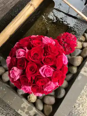 上尾御嶽神社の手水舎