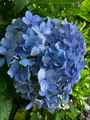 長谷寺(奈良県)