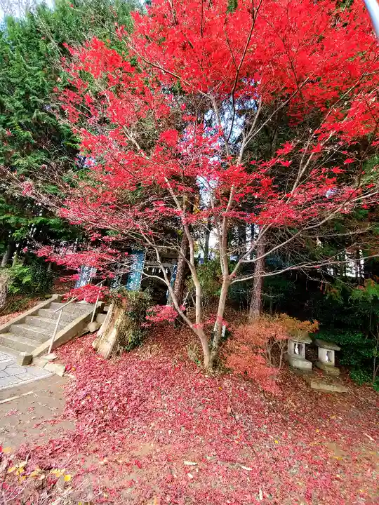 滑川神社 - 仕事と子どもの守り神の自然