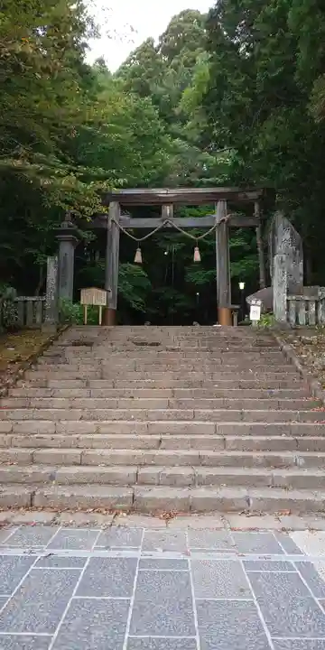 戸隠神社宝光社の鳥居