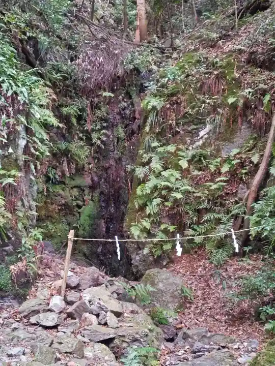 多度大社の自然