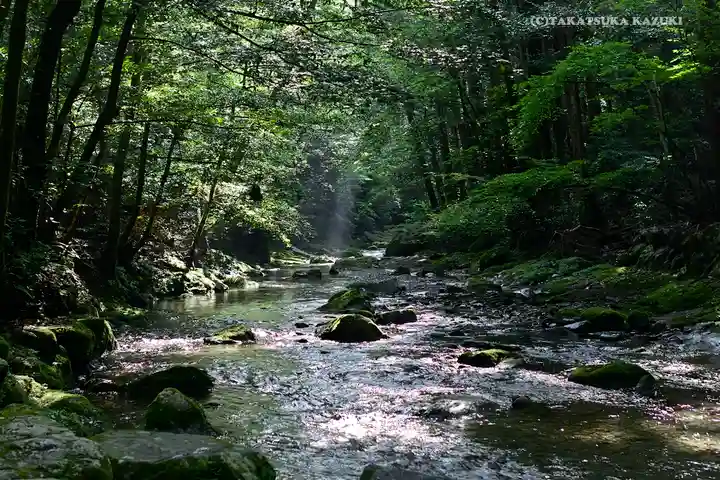 瀧原宮(皇大神宮別宮)の自然