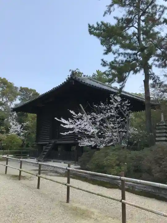 唐招提寺の{uncategorized: "未分類", other: "その他", undefined: "問題あり", building: "その他建物", grave: "お墓", sacred_gate: "鳥居", guardian: "狛犬", statue: "像", buddha: "仏像", history: "歴史", nature: "自然", garden: "庭園", animal: "動物", pagoda: "塔", temizu: "手水舎", mountain_gate: "山門・神門", sanctuary: "本殿・本堂", subordinate: "末社・摂社", art: "芸術", scenery: "景色", jizo: "地蔵", ema: "絵馬", goshuin: "御朱印", omikuji: "おみくじ", items: "授与品その他", amulet: "お守り", goshuincho: "御朱印帳", eats: "食事", festival: "お祭り", votive_dance: "神楽", shichigosan: "七五三参", wedding: "結婚式", experience: "体験その他", initially: "初詣", around: "周辺", anti_infection: "感染症対策"}