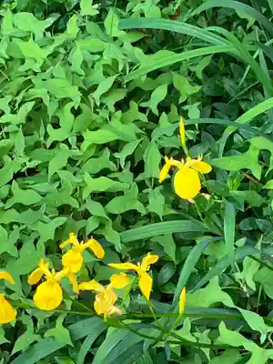 龍福寺(千葉県)