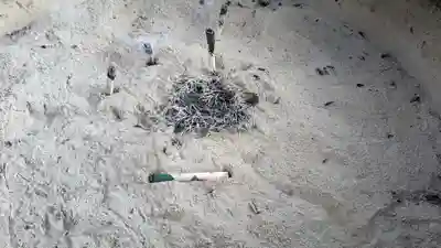 浅草寺のその他建物