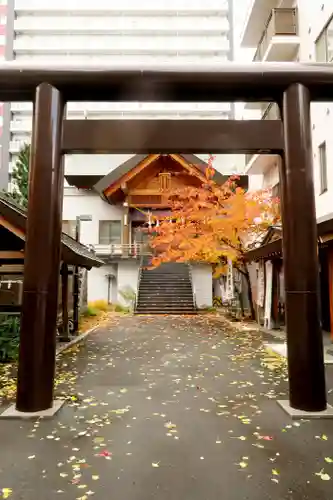 札幌祖霊神社の鳥居