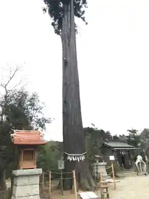 鶴峯八幡宮(千葉県)
