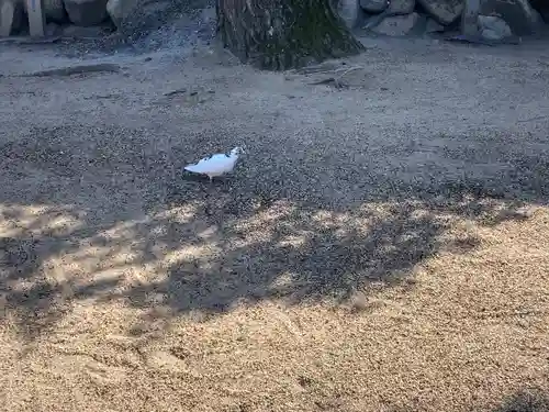 津門神社(兵庫県)
