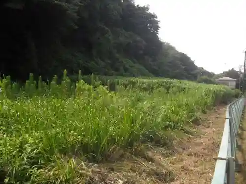 二十五坊旧蹟(舊蹟)(鶴岡八幡宮寺二十五坊跡/鶴岡二十五坊跡)の周辺