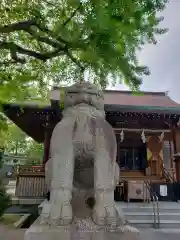 鎧神社の狛犬