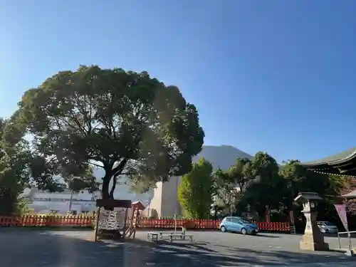 豊山八幡神社のその他建物