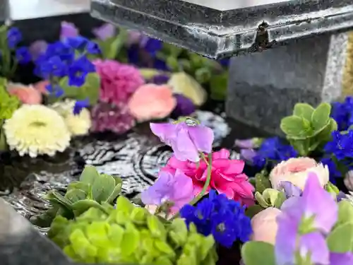 新琴似神社の手水舎